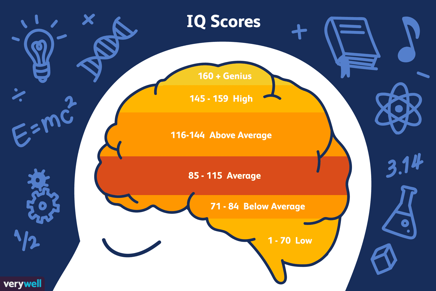 Why 116 is a high iq score