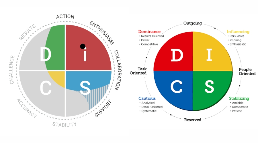 Key distinctions between DISC and DiSC profiles