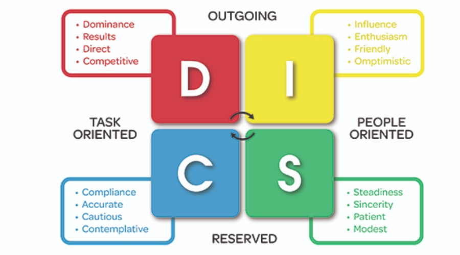  Use of uppercase DISC by various organizations