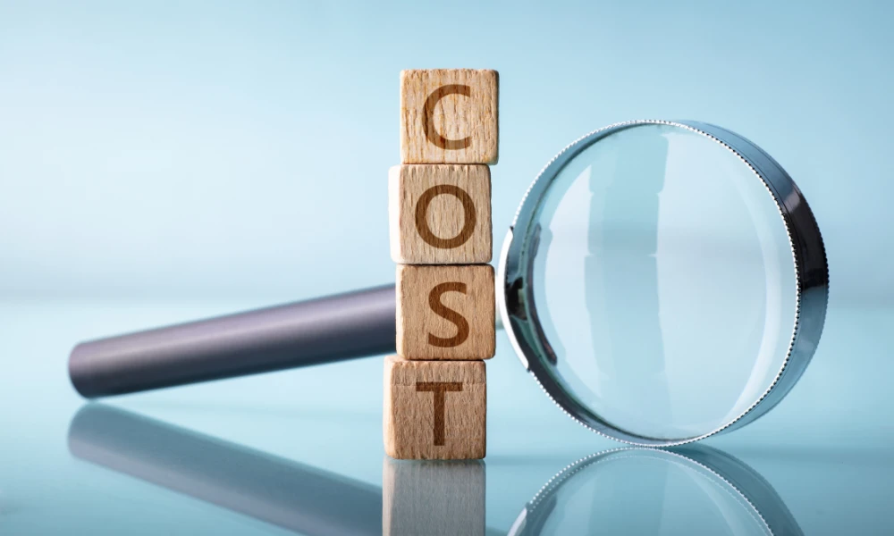 The cost of a DISC assessment can vary widely