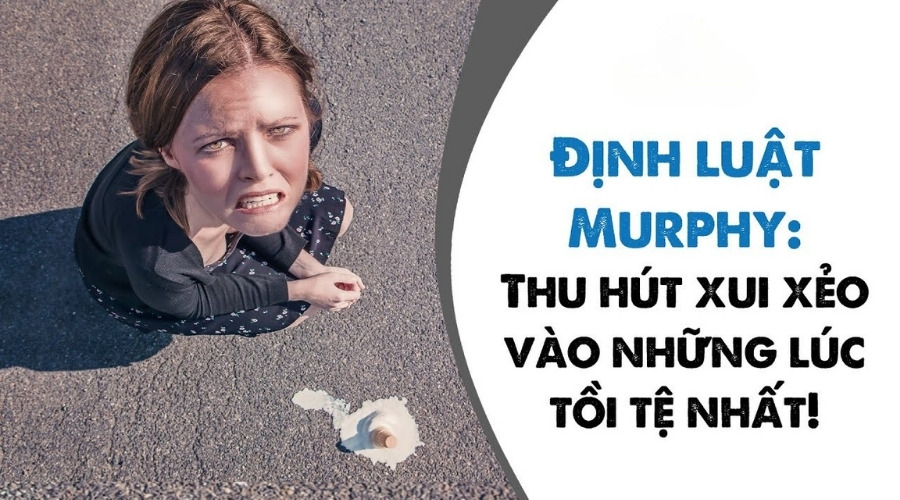 Khái niệm định luật Murphy trong đời sống