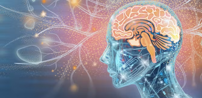 IQ is not only about memorization but also about finding solutions