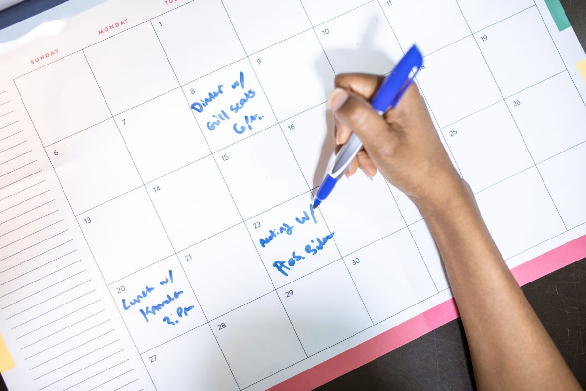 Adult organizing practical schedule and household budget